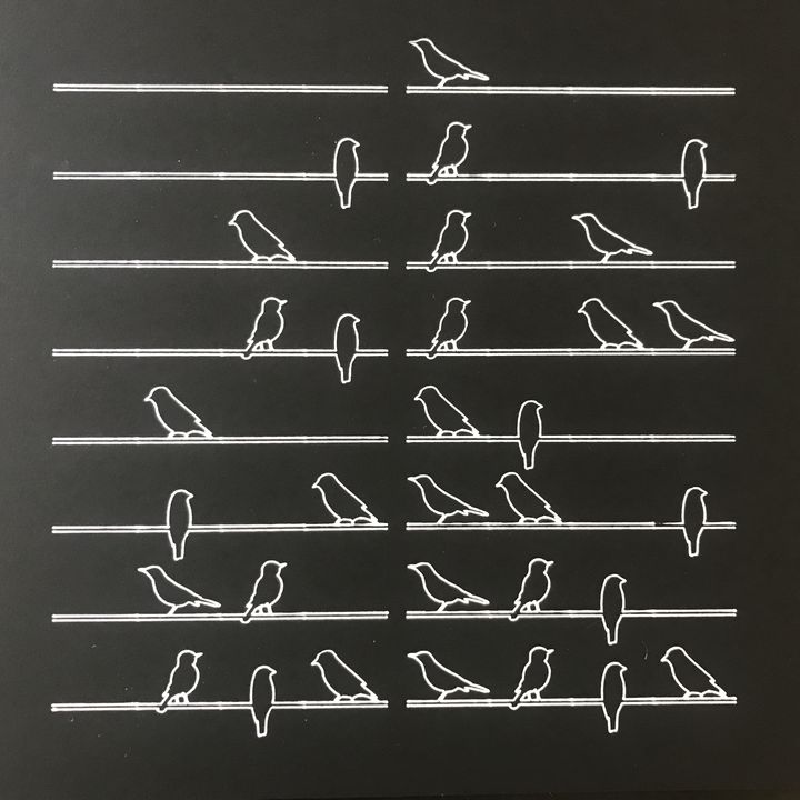 4 bits birds on a branch, white on black, branches in sequence; birds shuffled